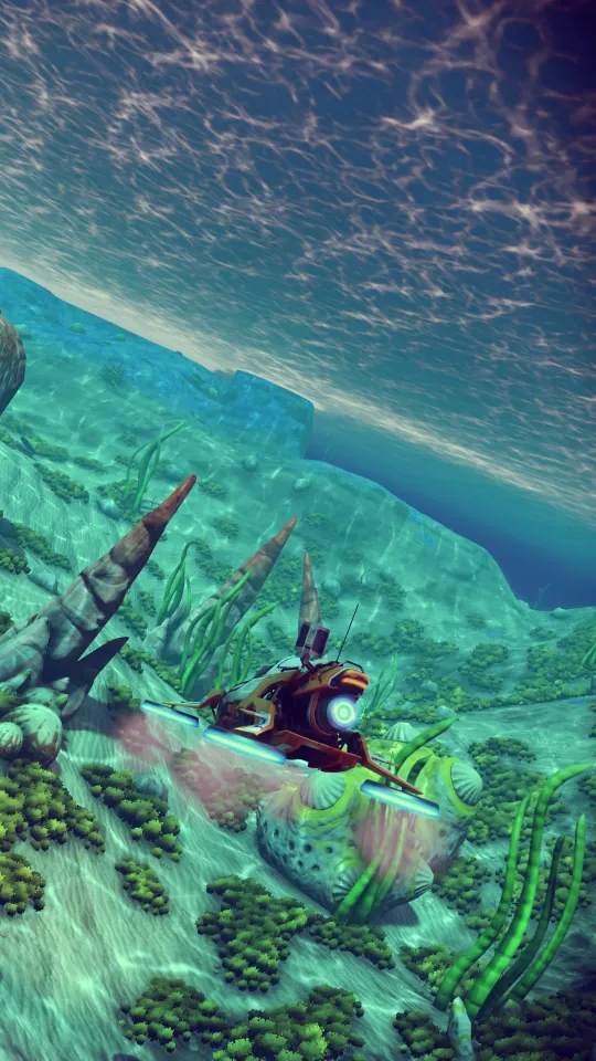 OCEAN, MER, RIVIERE, FLAQUE, POISSON