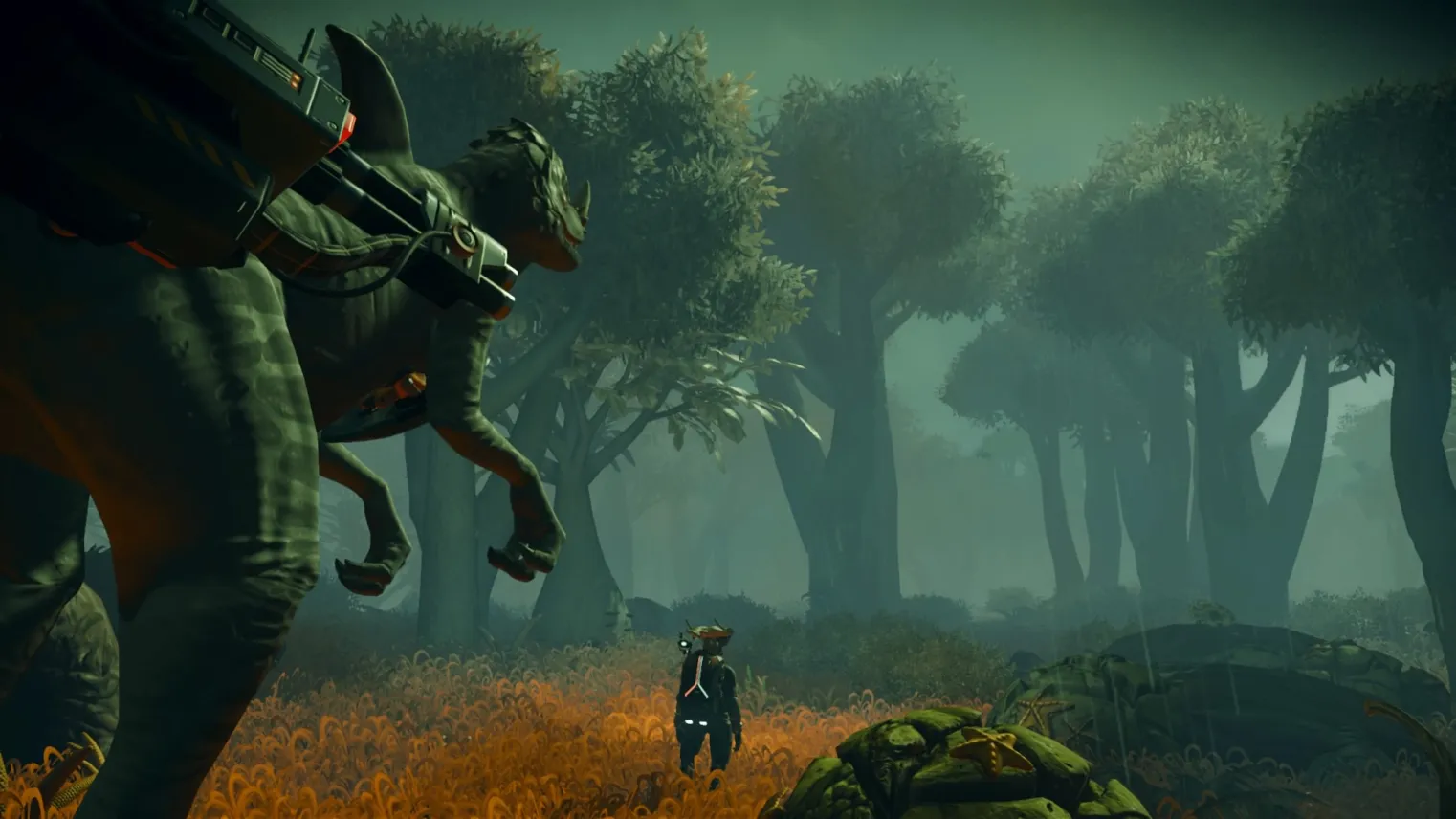 Vous et votre nouveau compagnon